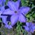 Debbie Eckhart's profile image