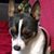 Jackie Ellerbrock's profile image