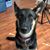 John S. Stanko's profile image