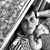 Ashley McVarish's profile image