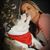 Lisa Rosati's profile image
