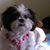 Mary DeGennaro's profile image