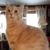 Pat Norlander's profile image