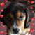 Michelle Missy VanScyoc's profile image