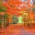 Cathy Stander's profile image