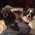 Shelly Roberds's profile image