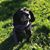 Ambrosia Newsom Thomson's profile image