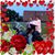 Traci Ferry's profile image