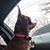 Misty Horne's profile image