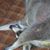 Sandy Mooney McQuillen's profile image