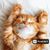 Chylea Hefner Hall's profile image