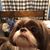 Jaime Coudriet's profile image