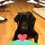 Bev Kreinbrook's profile image