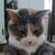 Maggie Margarey's profile image