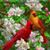 Cindy Ralston- McAfee's profile image