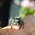 Paula Gay Saenz's profile image