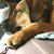 Sue Kemper Fahey's profile image