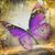 Mary Loubier's profile image