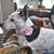Marti Oakes's profile image