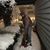 Marva Doug Corso's profile image
