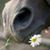 Rebecca Farmer's profile image