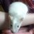 Jenny Reinhardt's profile image