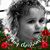 Susan Dayton's profile image