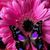 Kathy Ramuno's profile image
