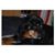 April Long's profile image