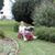 Randy Rohrbaugh's profile image