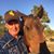 Dale Plambeck's profile image