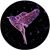 Lilly Eve's profile image
