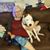 Debbie Bromley Benge's profile image