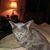 Lenore Hoolihan's profile image