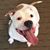Terri Bruce's profile image