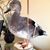 Jeffrey Kleeman's profile image