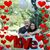 Chuck N Danielle Felton's profile image