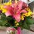 Linda Louise Parcher Clemons's profile image