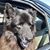 Marsha Kay's profile image