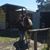 Denean M Ryman's profile image