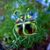 Anna Kazanjian's profile image