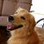 Theresa Harris's profile image