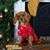 Mary Simpson's profile image
