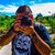 Mike Nunez's profile image