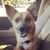 Mary Louise's profile image