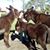 Annick Saint-martin's profile image