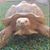 Jerry W. Cooper's profile image