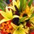 Sylvia Gallegos-Jaramillo's profile image