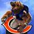 Augie Arroyo's profile image
