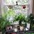 Jennifer Davis-Allison's profile image